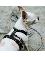Reflective and padded CASUAL Hurtta Y-harness for dogs