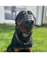 Muselière de frappe Malinois BergerAllemand DingoGear en cuir de vache