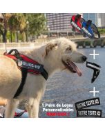 Harnais rafraichissant en Y Julius-K9 Y-Powair + logos au nom du chien OFFERTS !