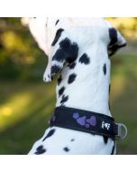 Collier chien large rembourré réfléchissant Hurtta Weekend Warrior