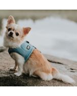 Veste rafraîchissante Hurtta COOLING pour petits chiens