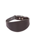 Collier en cuir noir rembourré DINGO pour lévriers et whippets