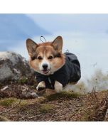 Manteau imperméable DRIZZLE pour chiens avec intérieur en maille aérée Hurtta - Violet