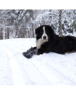 Chaussures chiens neige et froid HALLA LUX semelle TopGrip Paire de 2