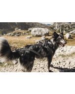 Harnais de traction X-SPORT pour chiens spécial traction Hurtta noir