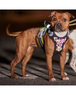 Harnais chien visibilité Hurtta Weekend Warrior FLUO
