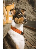 Collier pour chiens CASUAL Hurtta rembourré en nylon tissé