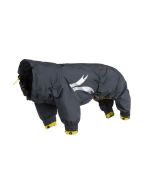 Comment mesurer son chien ?