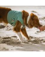 Veste rafraîchissante Cooling Wrap aquamarine pour chien
