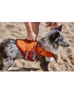 Gilet de sauvetage pour chien Life Savior ECO pour bateau et baignade