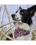 Bandana pour chien réfléchissant Zhero Safety ECO Hurtta