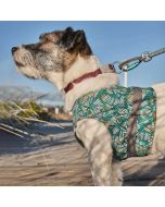 Veste chien réfléchissante Zhero Safety Wrap ECO turquoise Hurtta