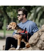 Harnais rafraichissant chien et léger en maille Julius K9 IDC®Powair