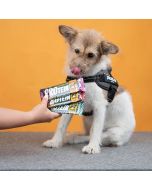 Friandise chien hypoallergénique Barre protéinée Julius-K9 chien 50g lapin carottes