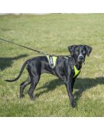 Harnais traction chien JK9 Air Mesh Mantrailing en maille jaune fluo