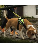 Harnais IDC®Power SMALL - Mini Julius-K9® pour chiens de 4 à 15 kg