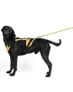 Harnais de pistage JK9 Mantrailing pour chien orange fluo ou noir