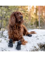 Chaussures chiens en softshell Finnero lot de 4 chaussons neige chien