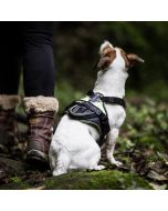 Harnais en Y pour chien confort Julius-K9 IDC®Longwalk anti à-coups