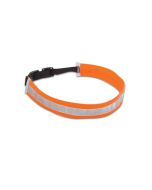 Collier chien lumineux Dingo réfléchissant en nylon orange fluo