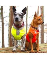 Veste de visibilité Hurtta pour petits chiens en softshell rembourrée
