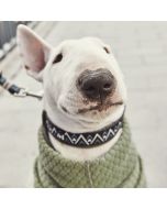 Collier Hurtta Razzle-Dazzle rembourré grandit avec le chien