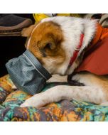 Gamelle pour chien GREAT BASIN™ étanche pliable réfléchissante 1 L