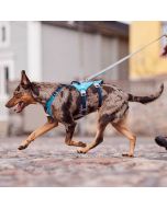 Harnais anti fugue chien Hurtta SafeGuard harnais en Y à 2 anneaux