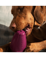 Jouet pour chien DOG CONIC jeu d'occupation chien ultra solide