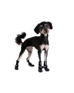 Chaussures chiens en softshell Finnero lot de 4 chaussons  chien
