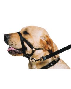 Licol d'éducation Training Halter pour contrôler votre chien