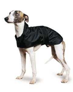 Manteau ANCOL spécial Lévrier Whippet et Greyhound
